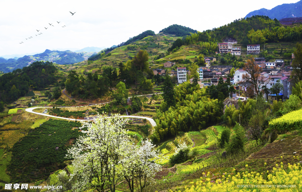 美丽乡村