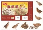 鲜鹌鹑蛋
