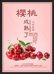 樱桃 樱桃广告