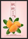 枇杷 水果