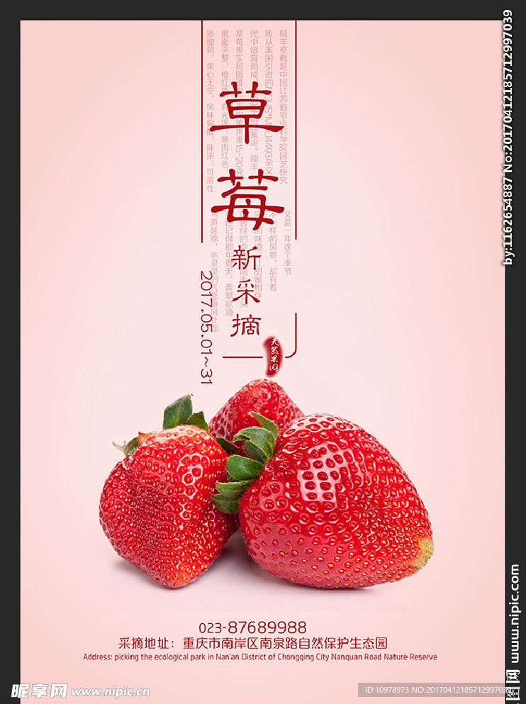 草莓 水果