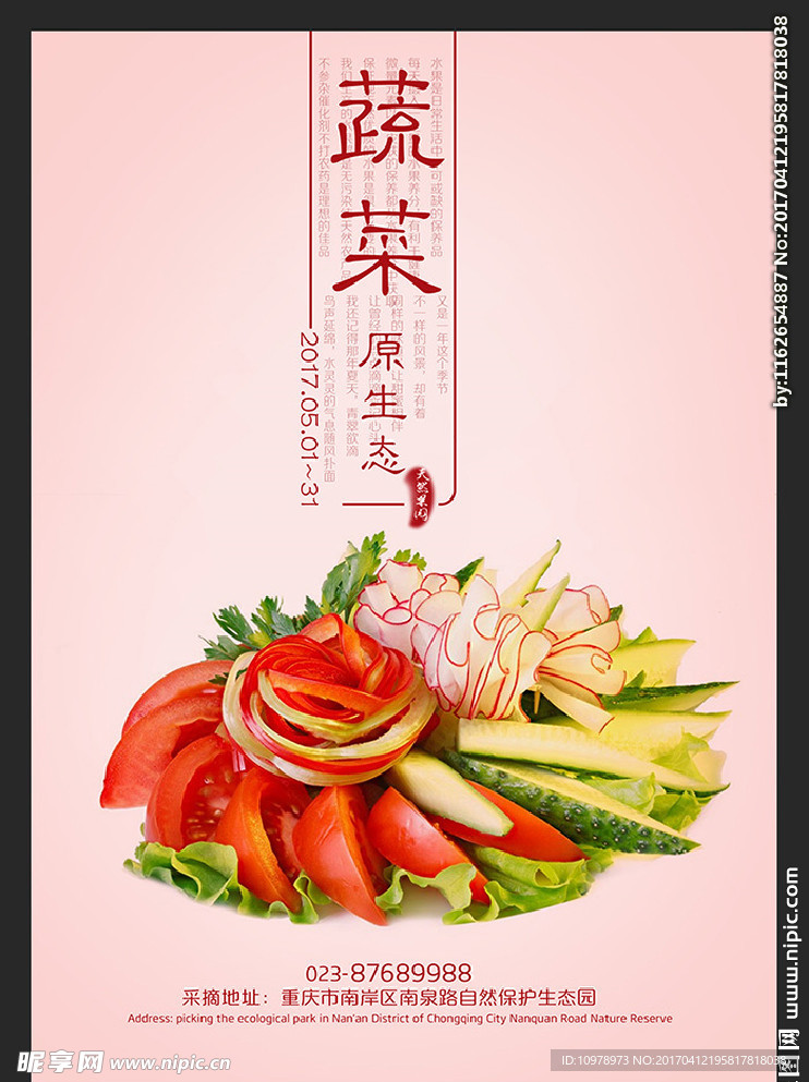 蔬菜 新鲜蔬菜