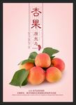 杏 水果