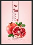 石榴 红石榴