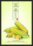 玉米 新鲜玉米