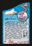 校园异形展板