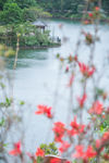红花湖风光