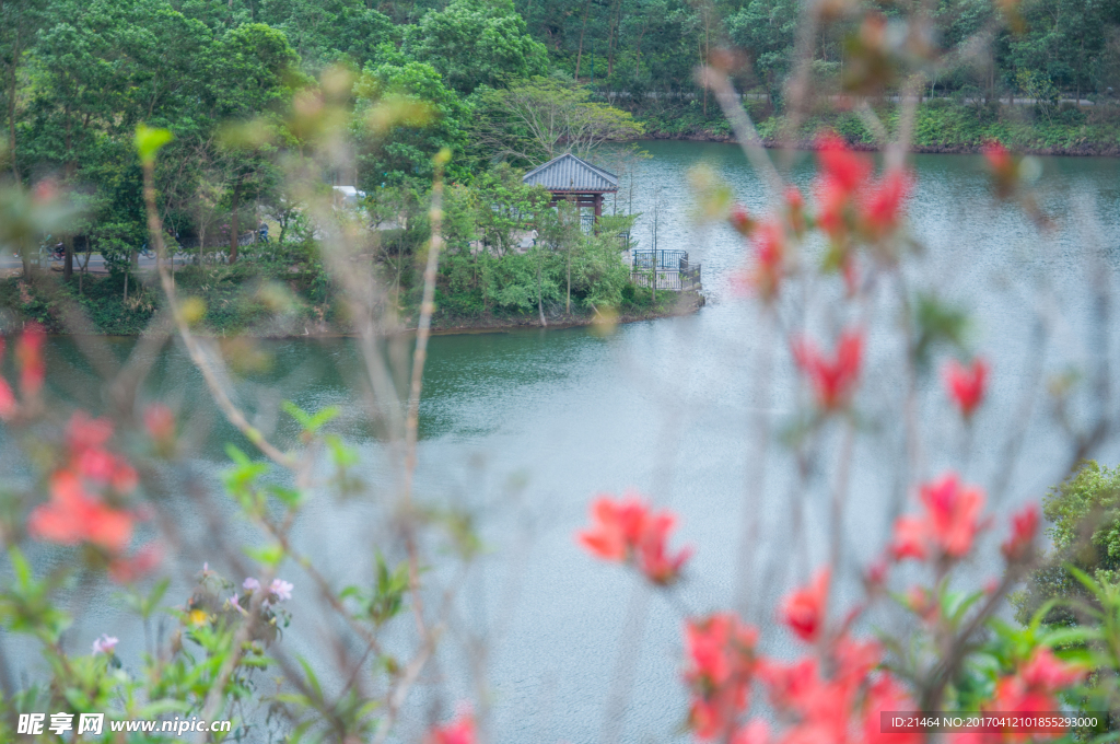 红花湖风光