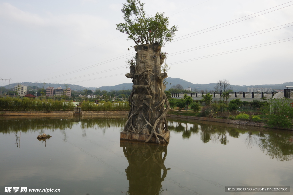 水中一景