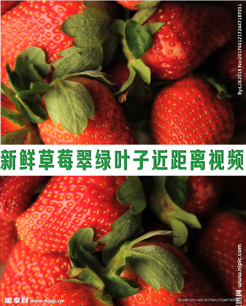 新鲜饱满草莓翠绿叶子水果视频