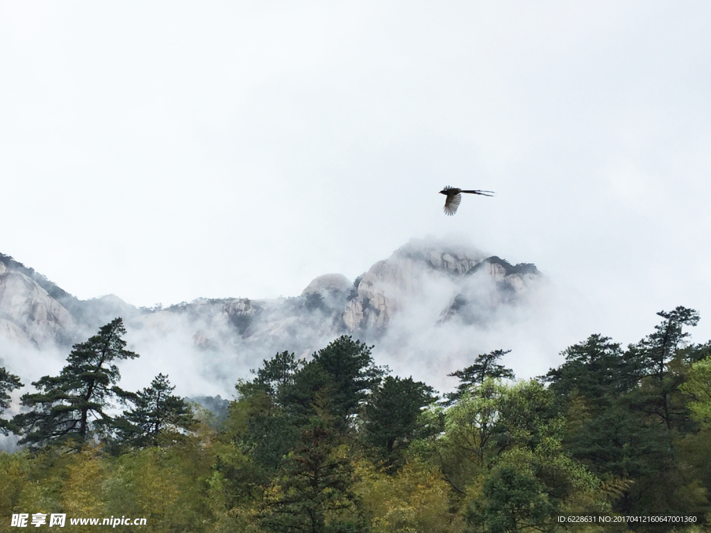 黄山