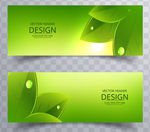 创意绿色矢量背景banner