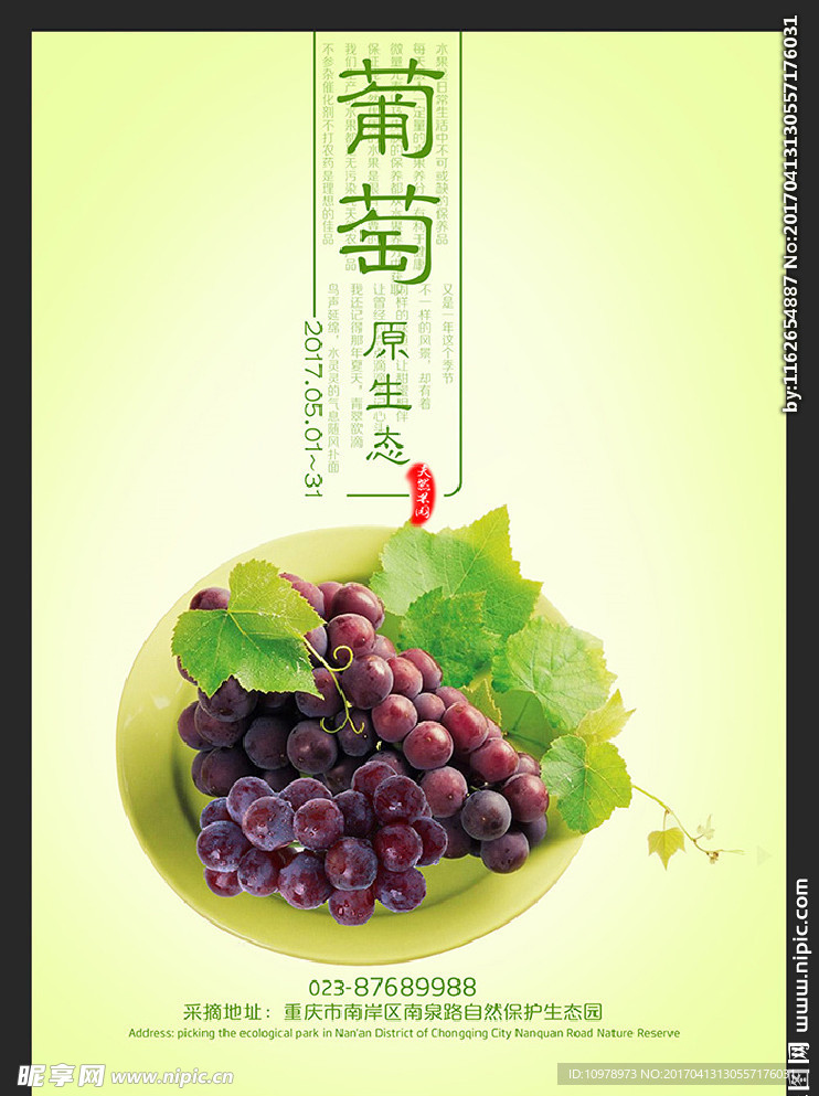 葡萄 水果