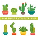 8款绿色春季多肉植物盆栽矢量图