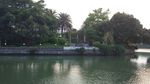 佳林风景图