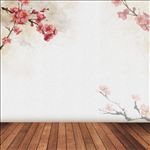 淘宝主图