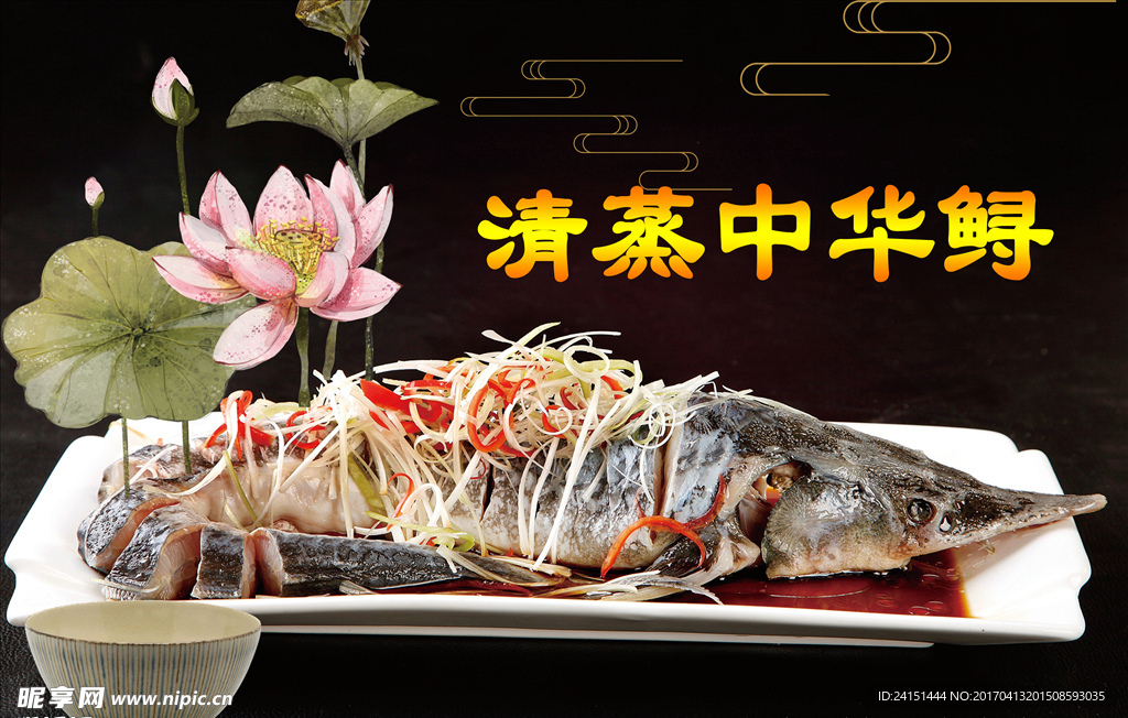 中华鲟高清图片