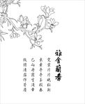兰花