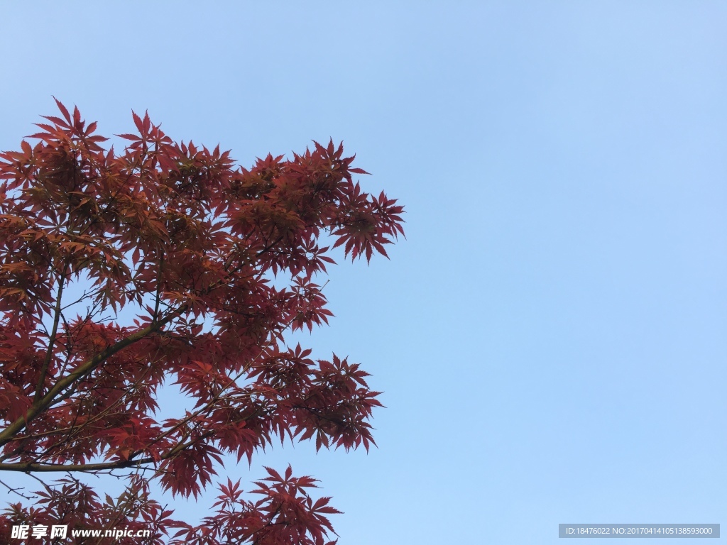 天空