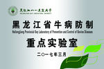 黑龙江八一农垦大学白钢牌