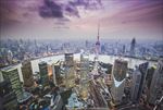 上海鸟瞰图
