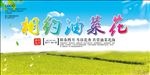 油菜花