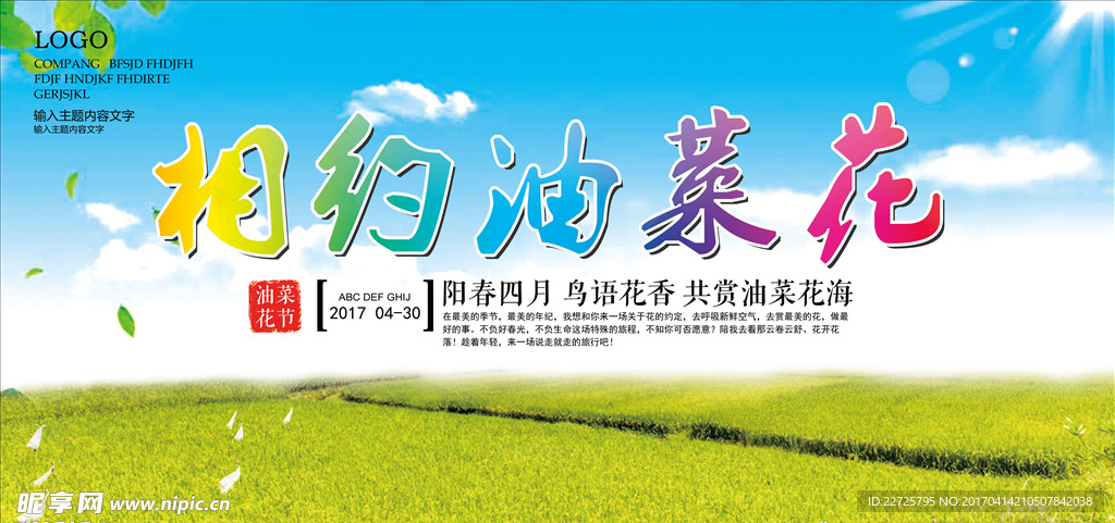 油菜花