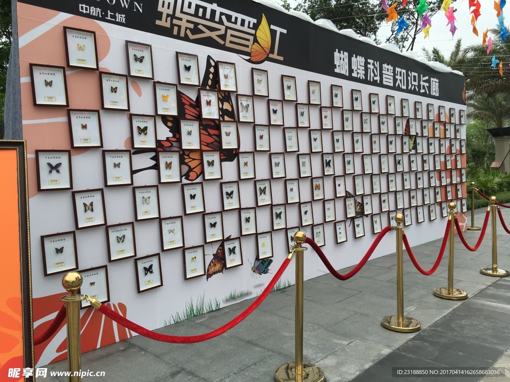 蝴蝶展