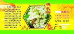 蜂蜜标签