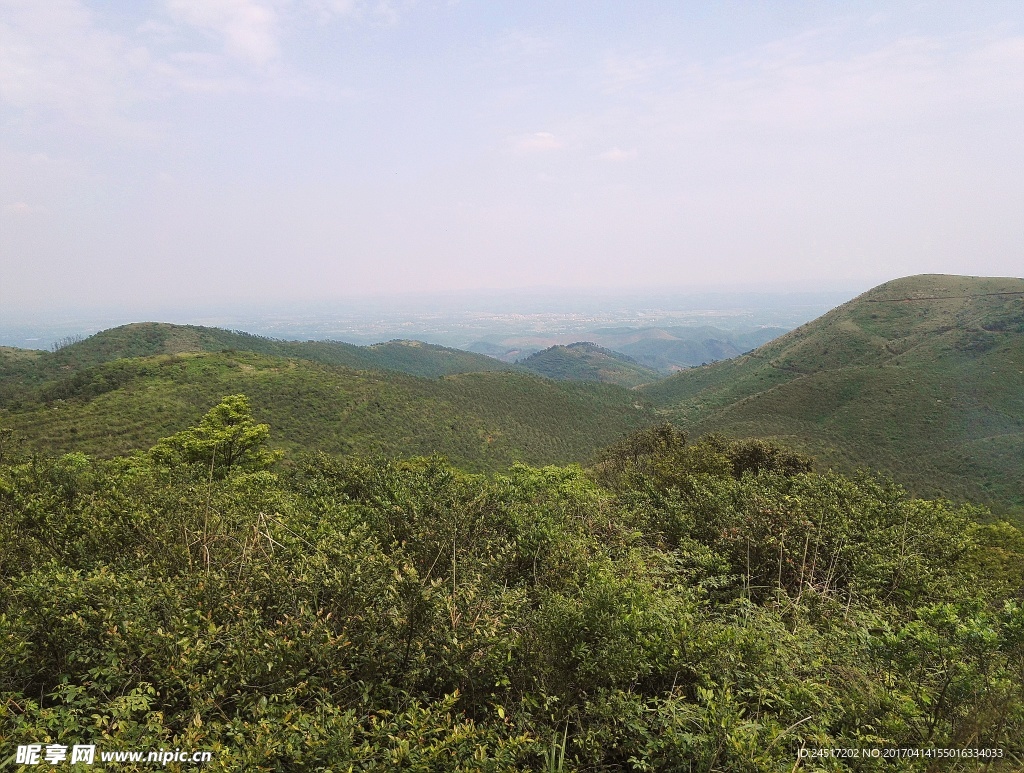 山