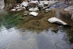 山中流水