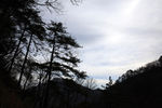 山林美景