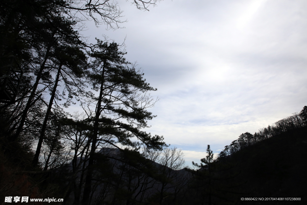 山林美景