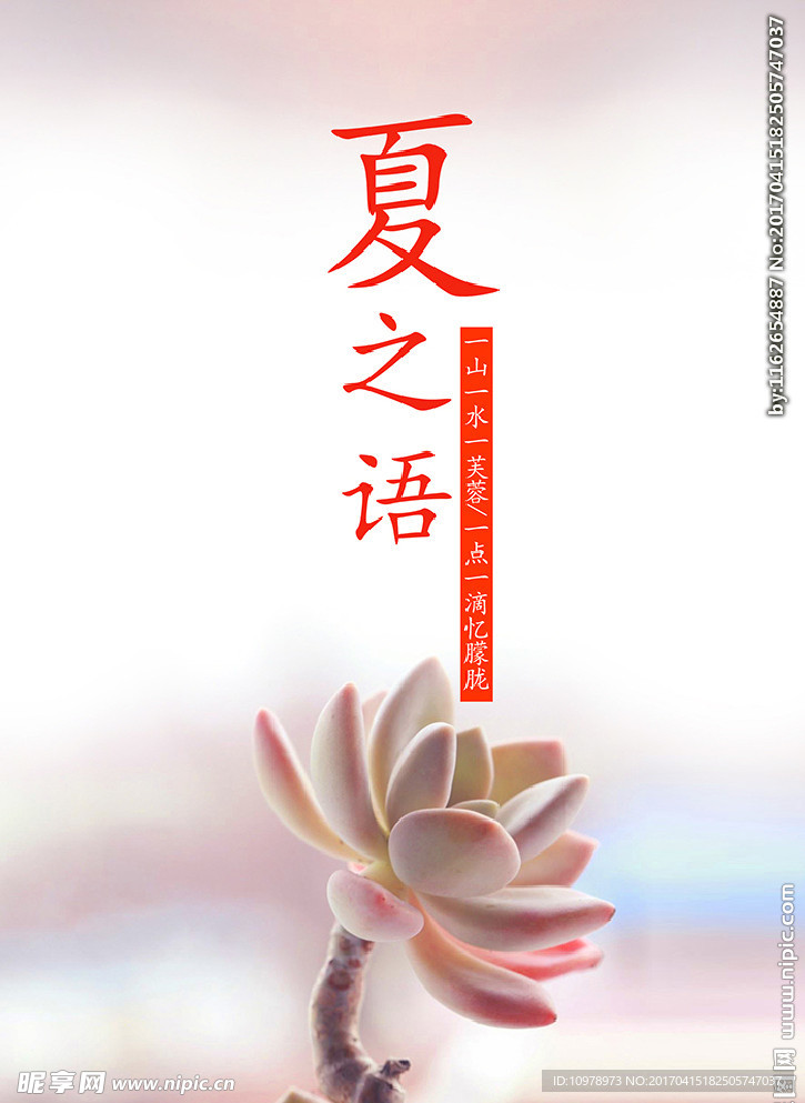 意境封面 多肉植物