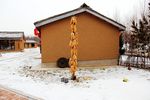 农家院