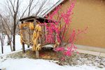 农家院