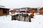 农家院