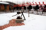 农家院