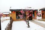 农家院