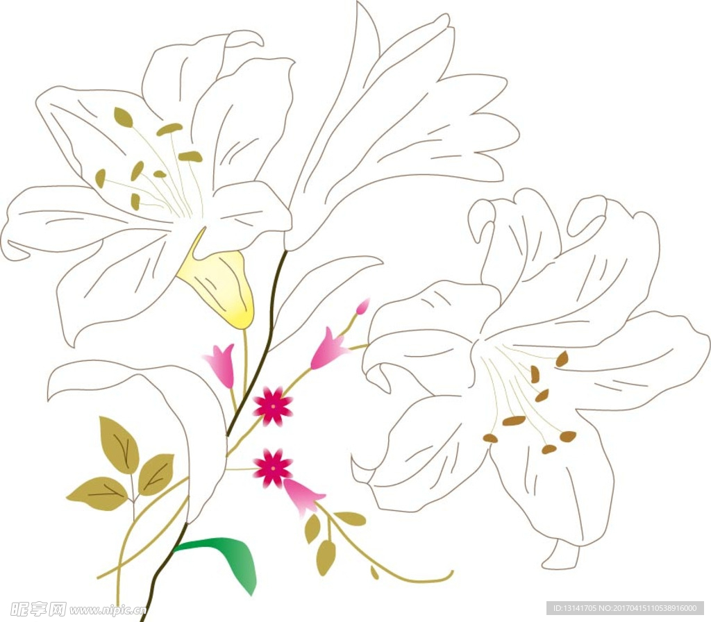 百合花