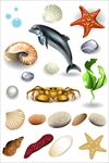 卡通海洋生物