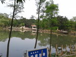 千灯湖湖边风景