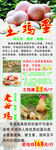 老母鸡和鸡蛋展架
