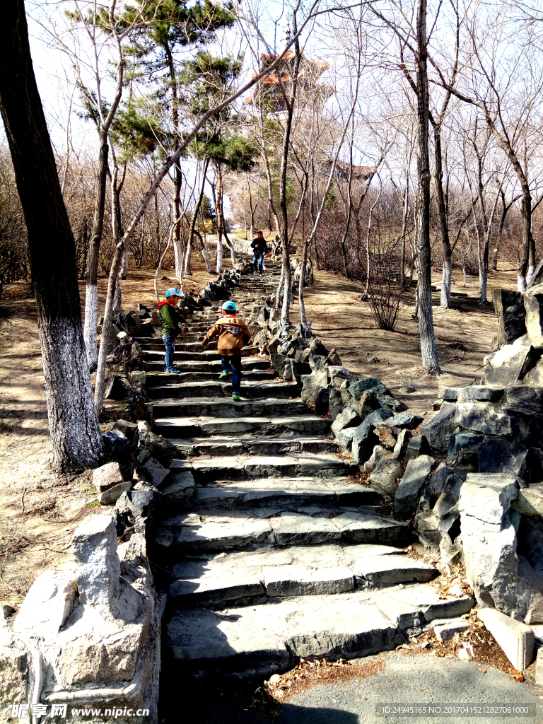龙沙公园美景
