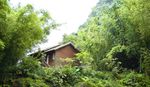 格外清新