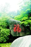 观光