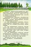 绿色环保倡议书