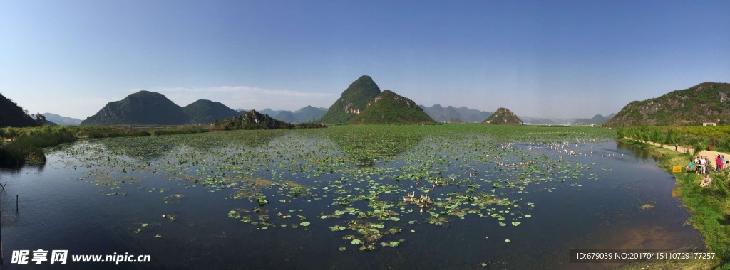 云南普者黑天鹅湖全景图