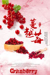 蔓越莓