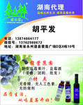 蓝莓果汁名片
